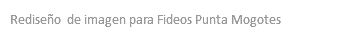 Rediseño de imagen para Fideos Punta Mogotes